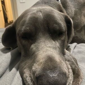 Meet your Posher, Jay